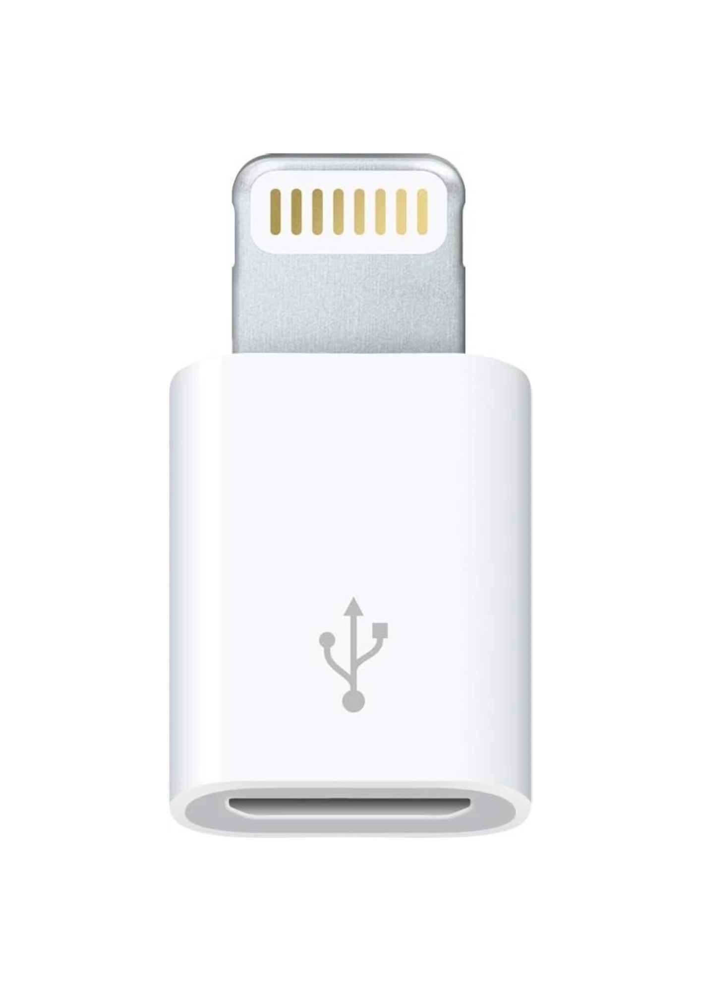 Lightning To Micro USB Adapter